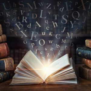buku referensi